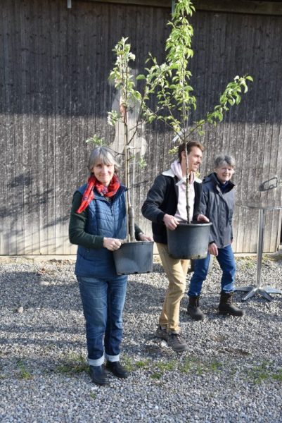 Celebrate-Arbor-Day_09
