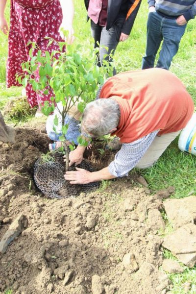 Celebrate-Arbor-Day_14