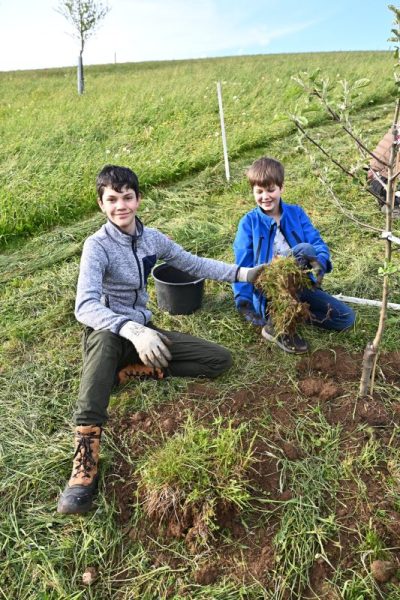 Celebrate-Arbor-Day_18