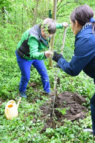 CELEBRATE-ARBOR-DAY0019