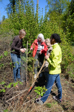 arbour-day-2018-019