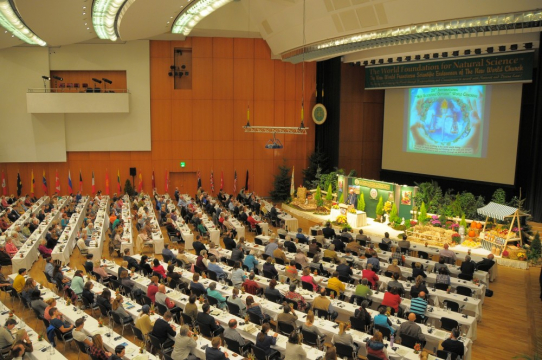 WFNS Congress 2015