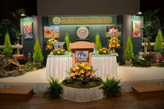 WFNS Congress 2015