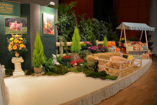 WFNS Congress 2015