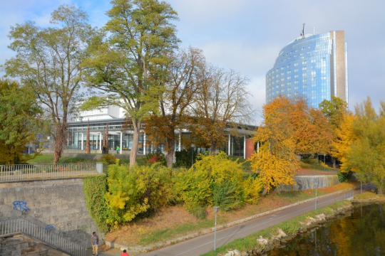 WFNS Congress 2015
