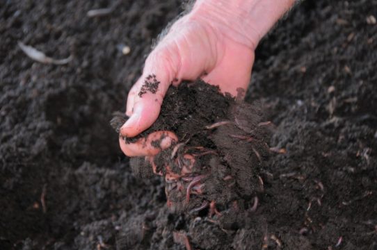 earth-day-2016-023