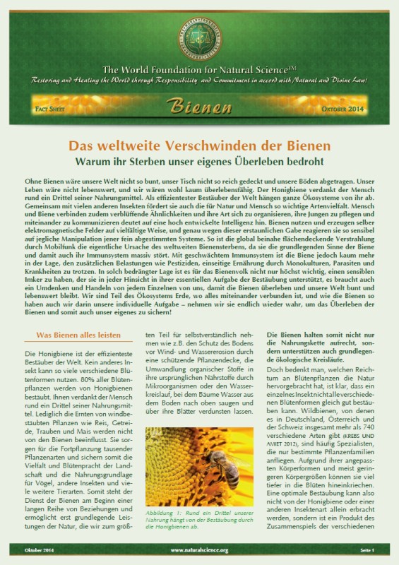 Fact Sheet - Das weltweite Verschwinden der Bienen