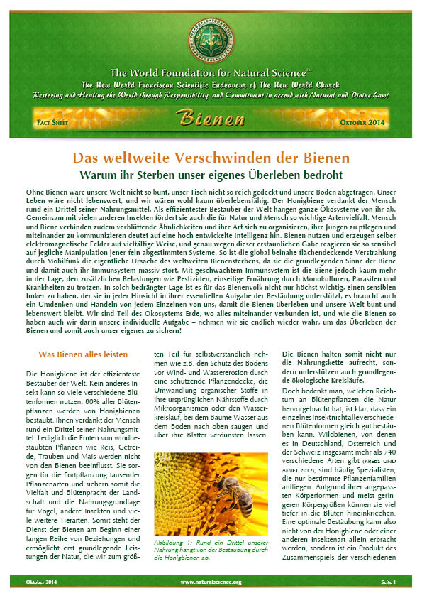 Titelblatt der Publikation : Das weltweite Verschwinden der Bienen