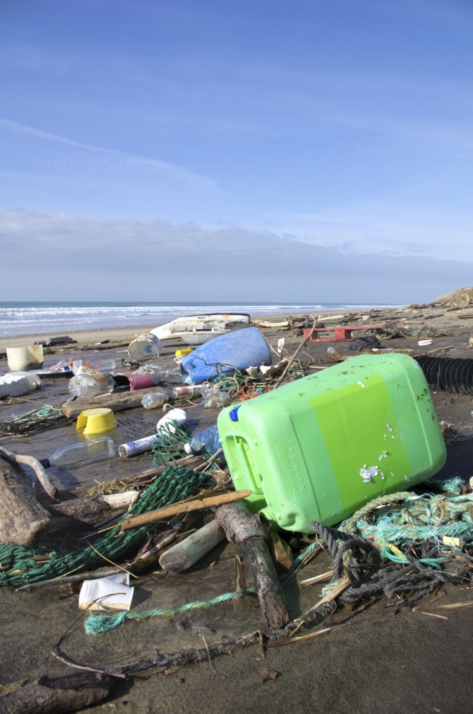 Plastik The World Foundation for Natural Science