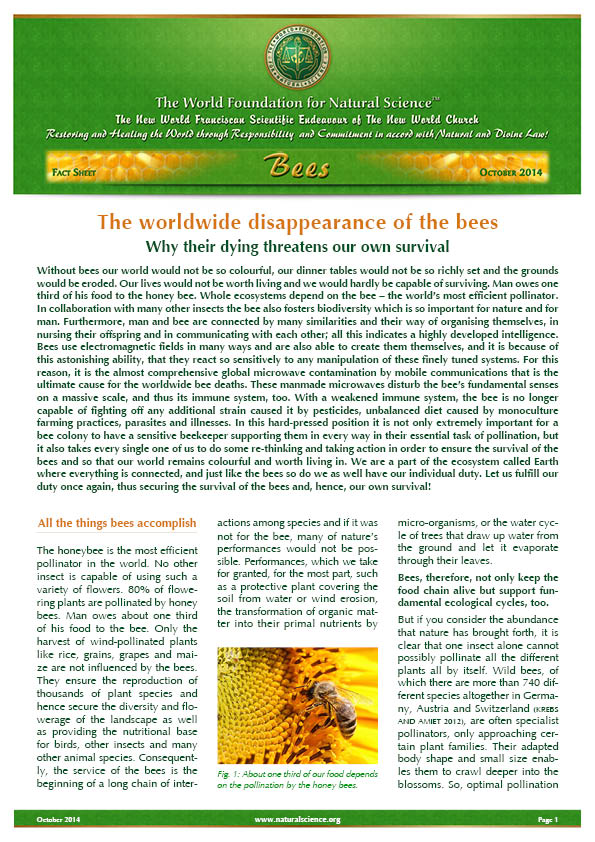 Cover of publication : The worldwide disappearance of the bees