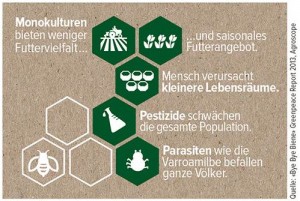 Bienen_Infografik2