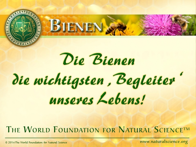 Titelblatt der Publikation : Die Bienen—die wichtigsten ‚Begleiter‘ unseres Lebens!