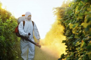 2015-05-29 Monsanto Syngenta