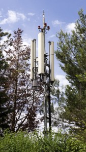 A telecommunications wireless cell phone antennas tower and trees.