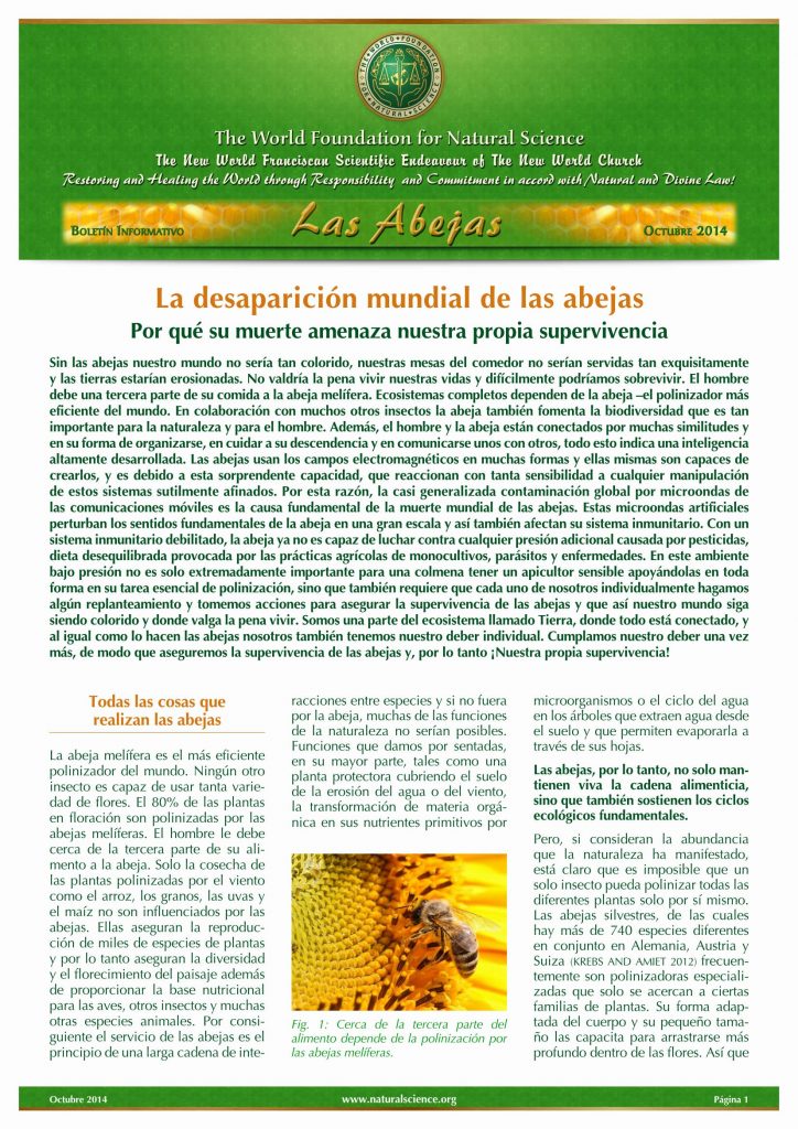 Portada de la publicación: La desaparición mundial de las abejas