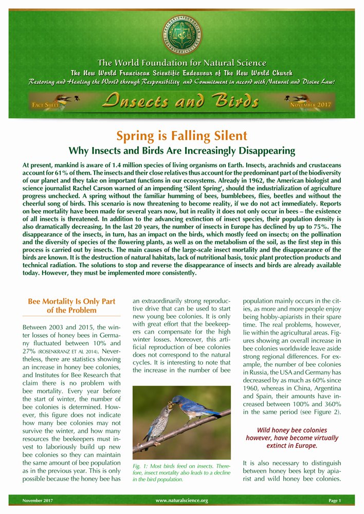 Cover of publication : Spring is Falling Silent – Why Insects and Birds Are Increasingly Disappearing