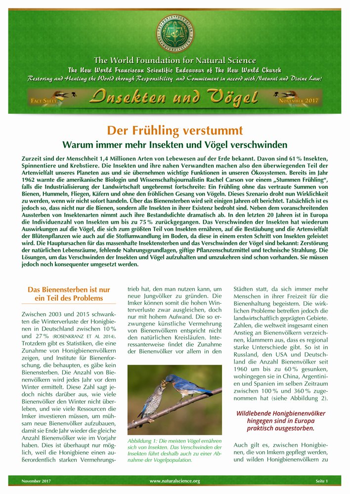 Titelblatt der Publikation : Der Frühling verstummt – Warum immer mehr Insekten und Vögel verschwinden
