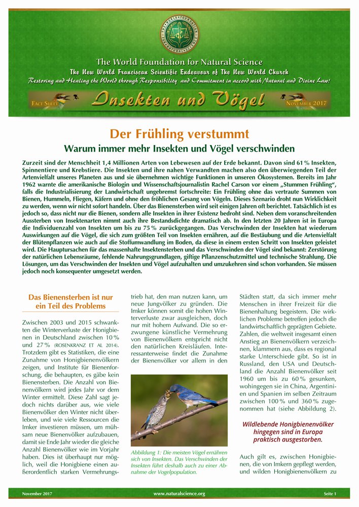 Titelblatt der Publikation : Der Frühling verstummt – Warum immer mehr Insekten und Vögel verschwinden