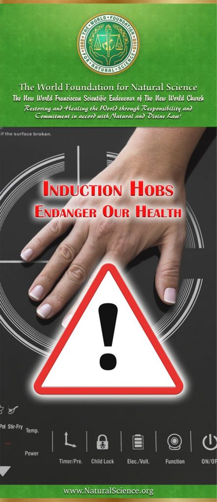 Cover of publication : Induction Hobs Endanger Our Health