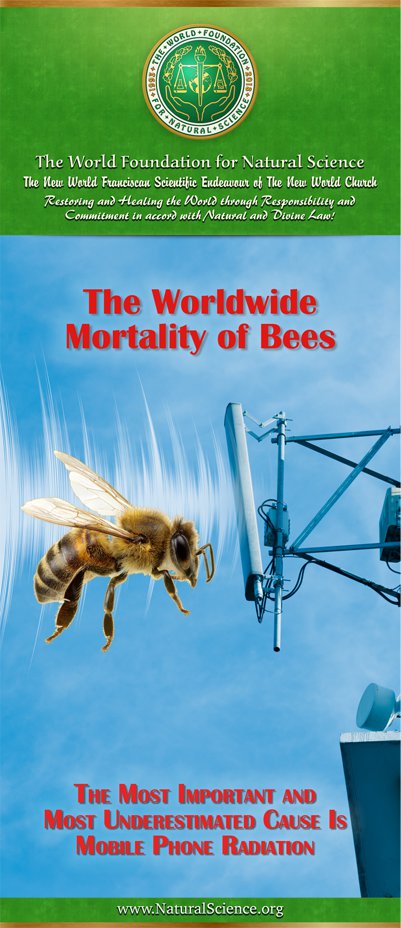 Cover of publication : The Worldwide Mortality of Bees