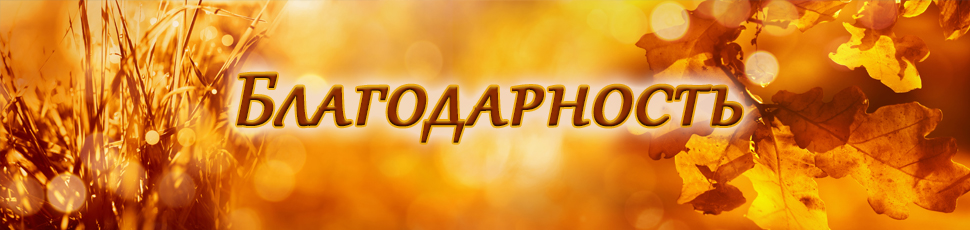 Смотреть видео