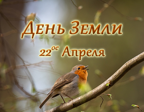 Earth day