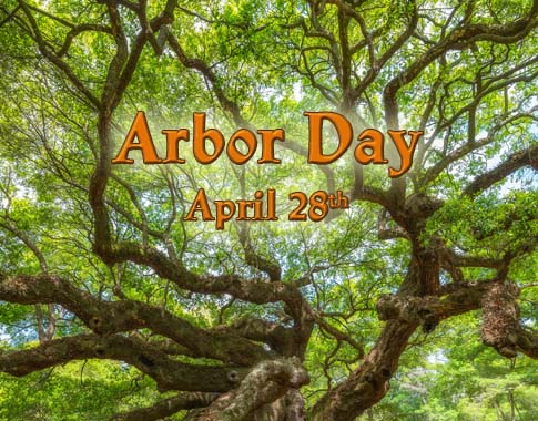 Arbor day