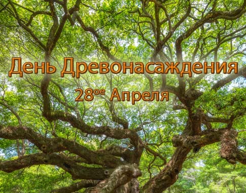 Arbor day