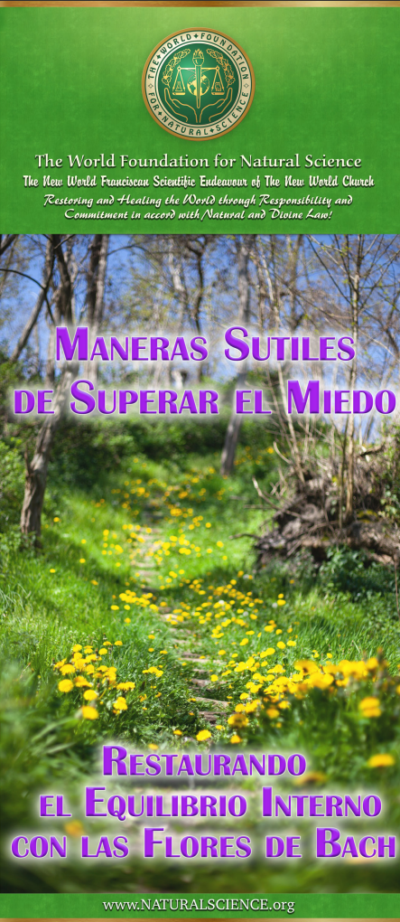 Portada de la publicación: Maneras Sutiles de Superar el Miedo – Restaurando el Equilibrio Interno con las Flores de Bach