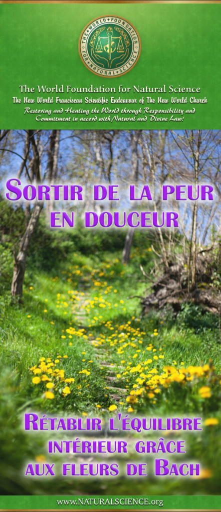 Couverture de la publication: Sortir de la peur en douceur – Rétablir l’équilibre intérieur grâce aux fleurs de Bach