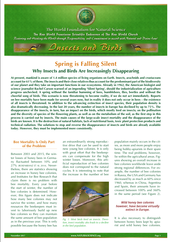 Cover of publication : Spring is Falling Silent: Why Insects and Birds Are Increasingly Disappearing